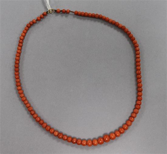 A single strand graduated coral bead necklace, 48cm.